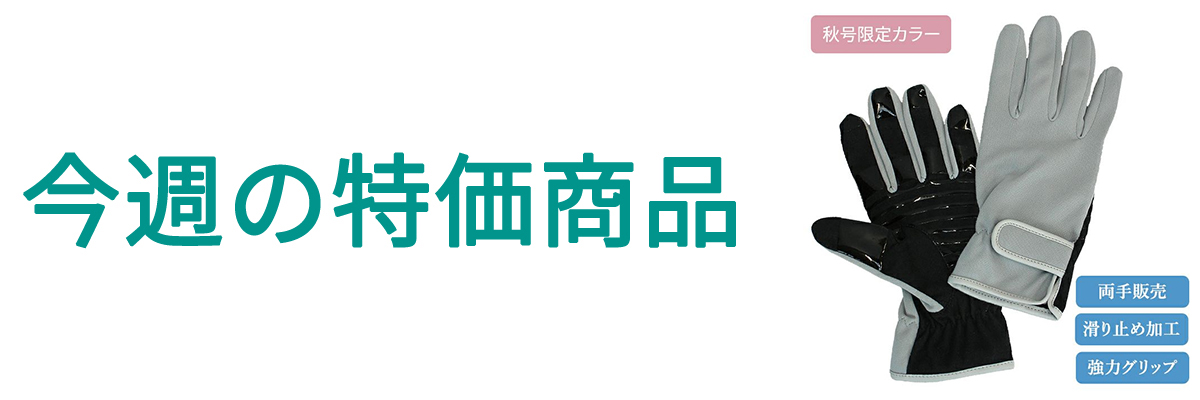 今週の特価.jpg