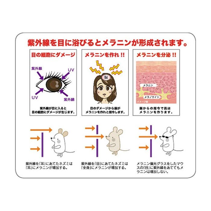 商品メイン画像